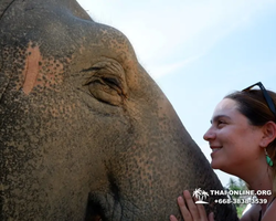 Elephant Jungle Sanctuary excursion in Pattaya Thailand - photo 1049