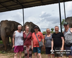 Elephant Jungle Sanctuary excursion in Pattaya Thailand - photo 806