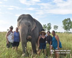 Elephant Jungle Sanctuary excursion in Pattaya Thailand - photo 676