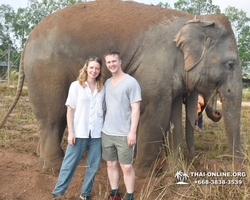 Elephant Jungle Sanctuary excursion in Pattaya Thailand - photo 253