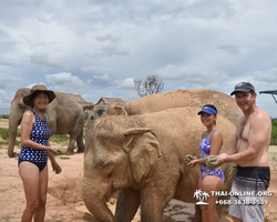 Elephant Jungle Sanctuary excursion in Pattaya Thailand - photo 858