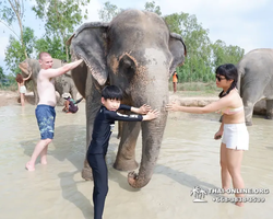 Elephant Jungle Sanctuary excursion in Pattaya Thailand - photo 695