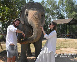 Elephant Jungle Sanctuary excursion in Pattaya Thailand - photo 185