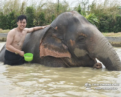 Elephant Jungle Sanctuary excursion in Pattaya Thailand - photo 300