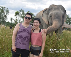 Elephant Jungle Sanctuary excursion in Pattaya Thailand - photo 571