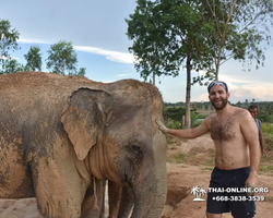 Elephant Jungle Sanctuary excursion in Pattaya Thailand - photo 287