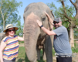 Elephant Jungle Sanctuary excursion in Pattaya Thailand - photo 293