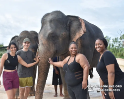 Elephant Jungle Sanctuary excursion in Pattaya Thailand - photo 966