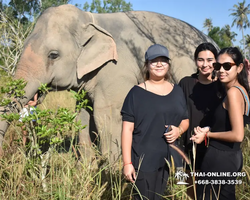 Elephant Jungle Sanctuary excursion in Pattaya Thailand - photo 216