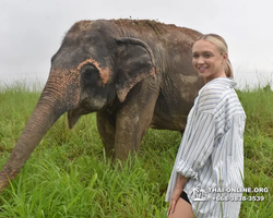 Elephant Jungle Sanctuary excursion in Pattaya Thailand - photo 678