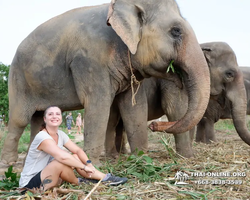 Elephant Jungle Sanctuary excursion in Pattaya Thailand - photo 240