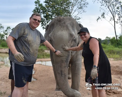 Elephant Jungle Sanctuary excursion in Pattaya Thailand - photo 505