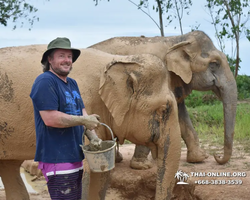 Elephant Jungle Sanctuary excursion in Pattaya Thailand - photo 614