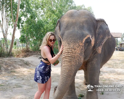 Elephant Jungle Sanctuary excursion in Pattaya Thailand - photo 137
