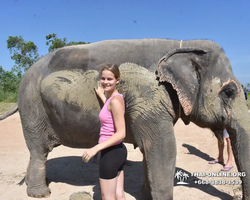 Elephant Jungle Sanctuary excursion in Pattaya Thailand - photo 632