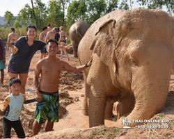 Elephant Jungle Sanctuary excursion in Pattaya Thailand - photo 54