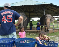 Elephant Jungle Sanctuary excursion in Pattaya Thailand - photo 641