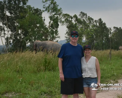 Elephant Jungle Sanctuary excursion in Pattaya Thailand - photo 752