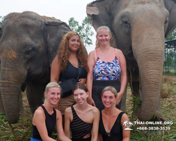 Elephant Jungle Sanctuary excursion in Pattaya Thailand - photo 683