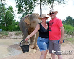 Elephant Jungle Sanctuary excursion in Pattaya Thailand - photo 353