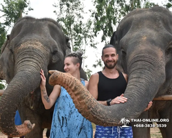 Elephant Jungle Sanctuary excursion in Pattaya Thailand - photo 309