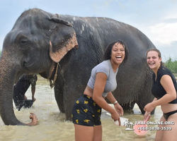 Elephant Jungle Sanctuary excursion in Pattaya Thailand - photo 925