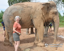 Elephant Jungle Sanctuary excursion in Pattaya Thailand - photo 94