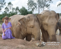 Elephant Jungle Sanctuary excursion in Pattaya Thailand - photo 220