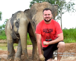 Elephant Jungle Sanctuary excursion in Pattaya Thailand - photo 404