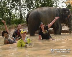 Elephant Jungle Sanctuary excursion in Pattaya Thailand - photo 133