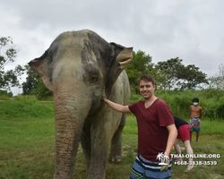 Elephant Jungle Sanctuary excursion in Pattaya Thailand - photo 981
