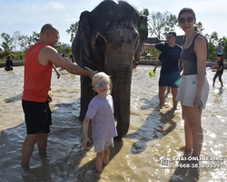 Elephant Jungle Sanctuary excursion in Pattaya Thailand - photo 699