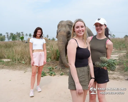 Elephant Jungle Sanctuary excursion in Pattaya Thailand - photo 1075