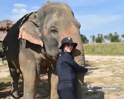 Elephant Jungle Sanctuary excursion in Pattaya Thailand - photo 576