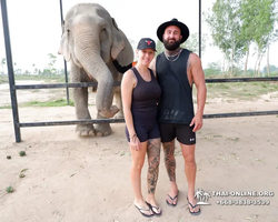 Elephant Jungle Sanctuary excursion in Pattaya Thailand - photo 788