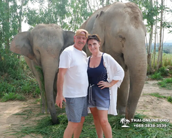 Elephant Jungle Sanctuary excursion in Pattaya Thailand - photo 146