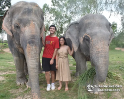 Elephant Jungle Sanctuary excursion in Pattaya Thailand - photo 202