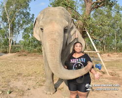 Elephant Jungle Sanctuary excursion in Pattaya Thailand - photo 39