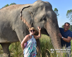 Elephant Jungle Sanctuary excursion in Pattaya Thailand - photo 48