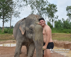 Elephant Jungle Sanctuary excursion in Pattaya Thailand - photo 162