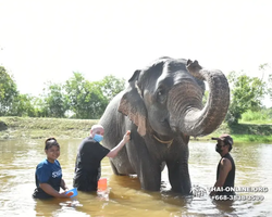 Elephant Jungle Sanctuary excursion in Pattaya Thailand - photo 837