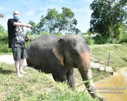 Elephant Jungle Sanctuary excursion in Pattaya Thailand - photo 77