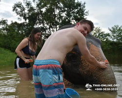 Elephant Jungle Sanctuary excursion in Pattaya Thailand - photo 772