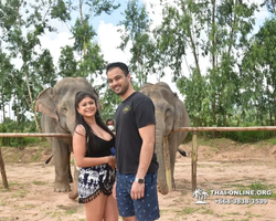 Elephant Jungle Sanctuary excursion in Pattaya Thailand - photo 37