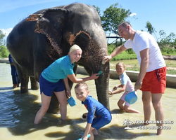 Elephant Jungle Sanctuary excursion in Pattaya Thailand - photo 705