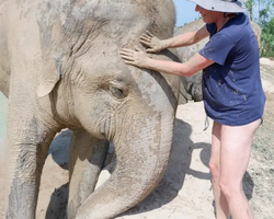 Elephant Jungle Sanctuary excursion in Pattaya Thailand - photo 456