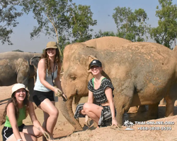 Elephant Jungle Sanctuary excursion in Pattaya Thailand - photo 223