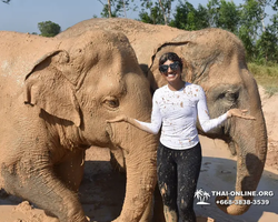 Elephant Jungle Sanctuary excursion in Pattaya Thailand - photo 47