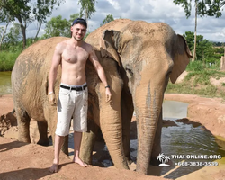 Elephant Jungle Sanctuary excursion in Pattaya Thailand - photo 157