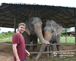 Elephant Jungle Sanctuary excursion in Pattaya Thailand - photo 878